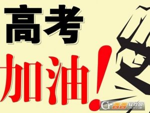 2017高考文综试题答案及解析