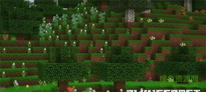 我的世界SrVill的好看的3D材质包 v1.6 官方版