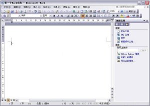 office word 2003 精简版