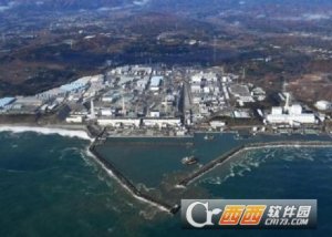 日本福岛巨型生蚝图片